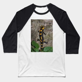 Fire Salamander on Rock Baseball T-Shirt